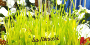 su nenneri ca del sol cagliari