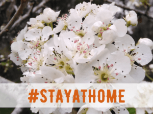 #stayathome